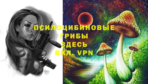 соль курить ск Володарск