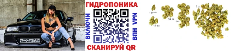 Конопля семена  Томск 